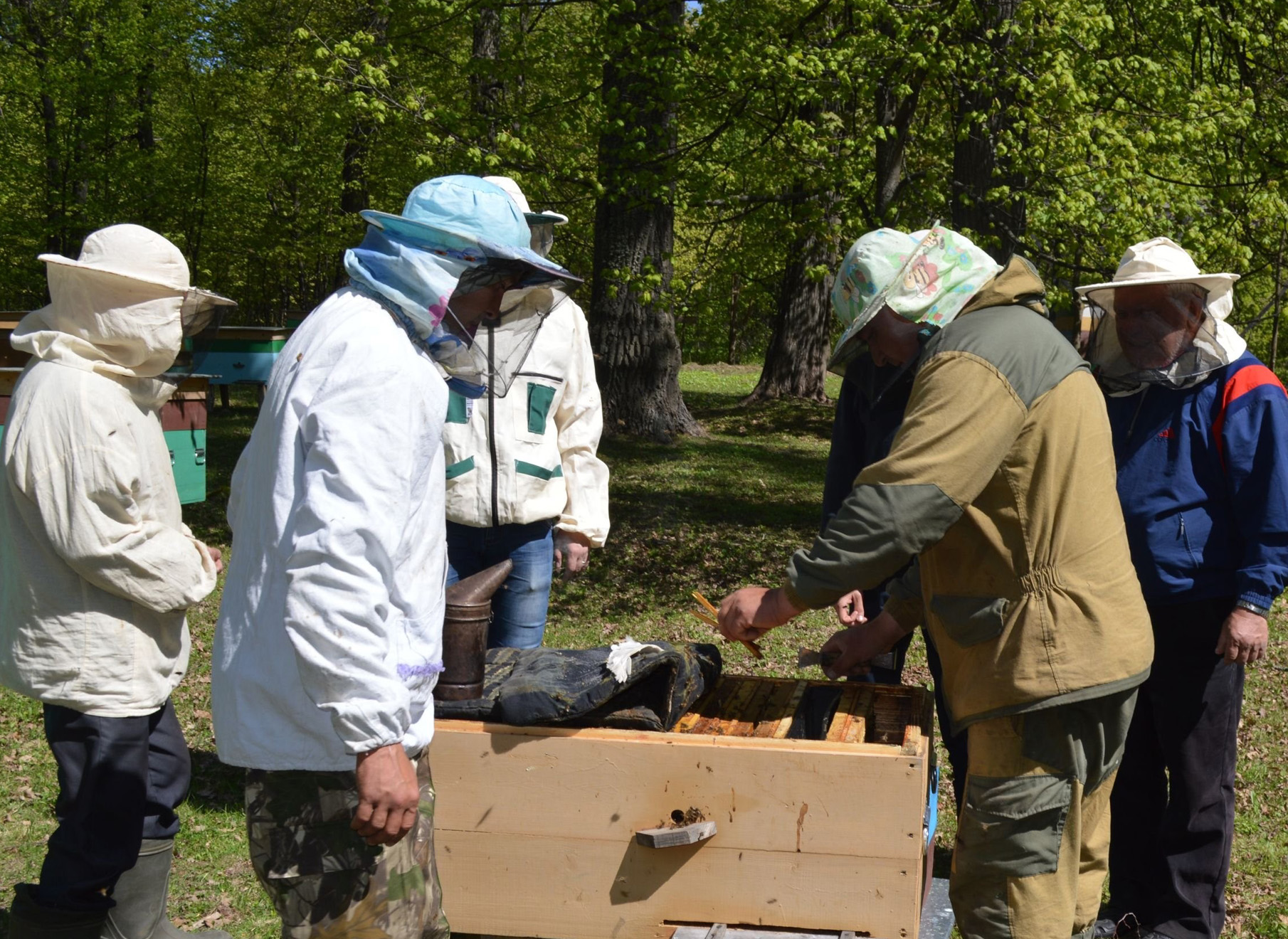 Formation d'apiculture