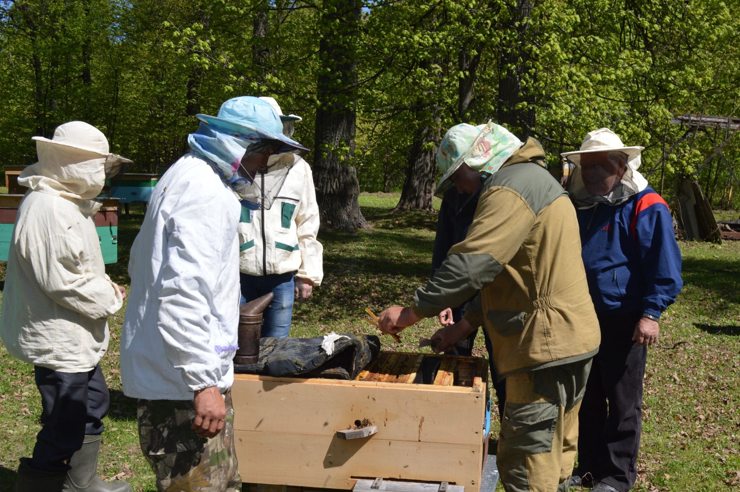 Beekeeping classes