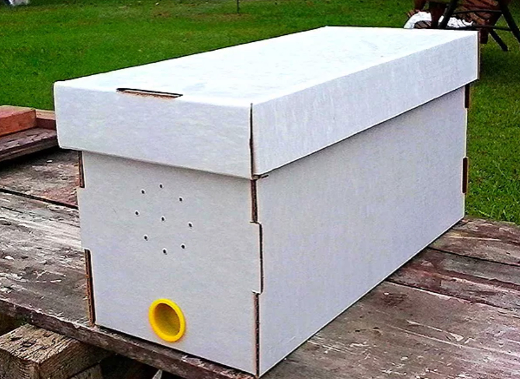 BUY BEES / NUCS